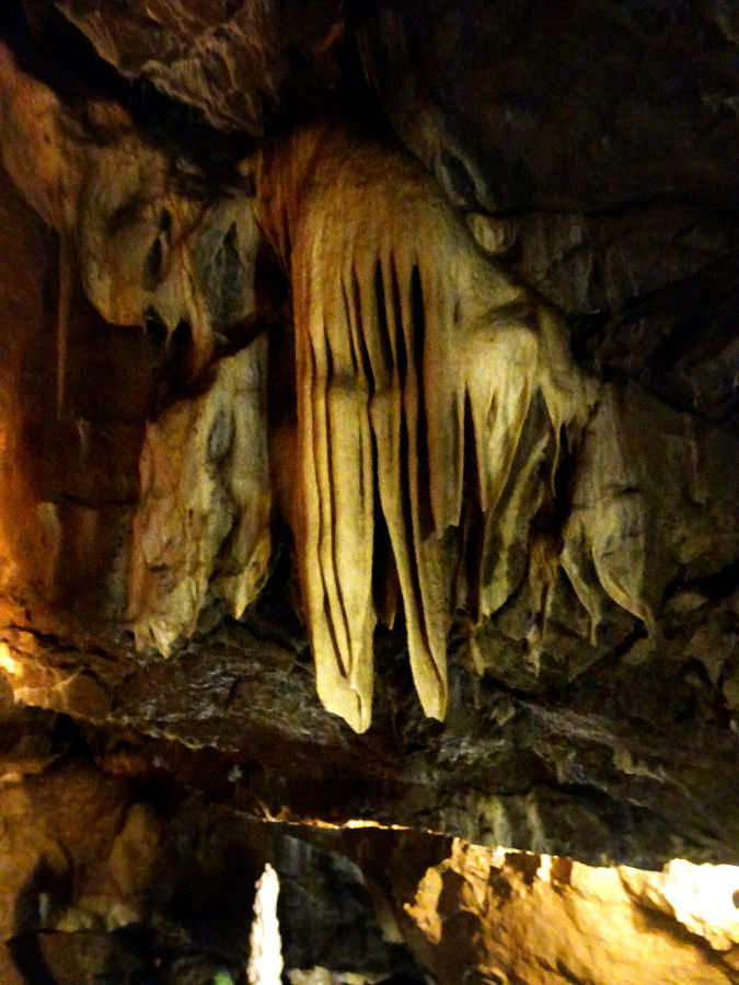 DSC05946.JPG