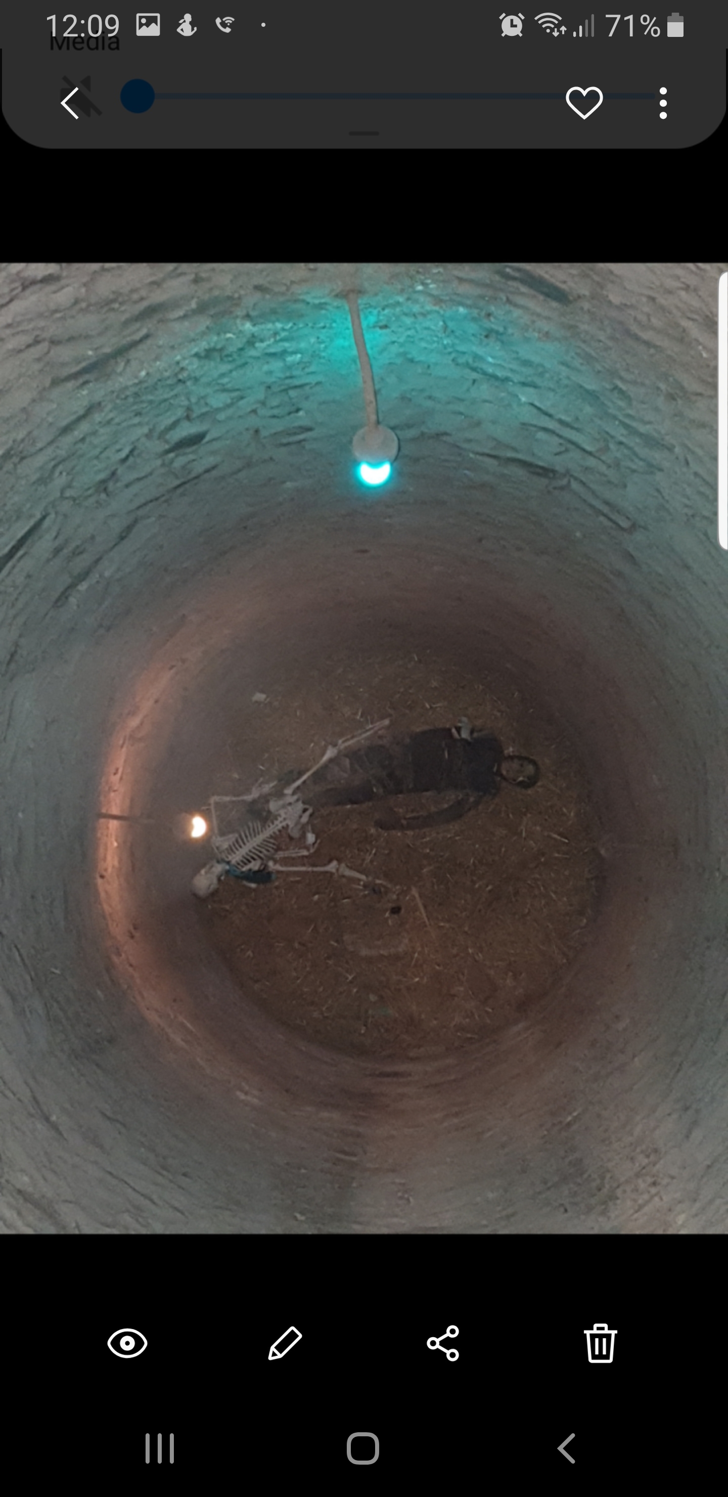 Screenshot_20190404-120923_Gallery.jpg