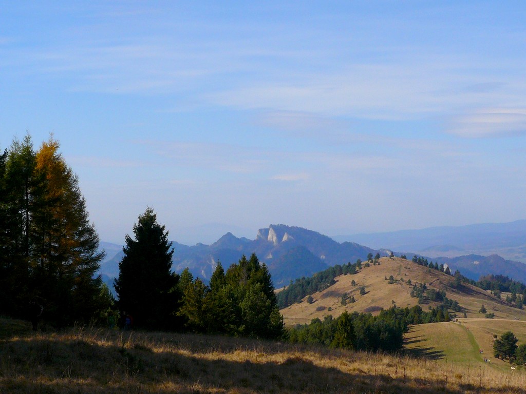 P1110647.JPG