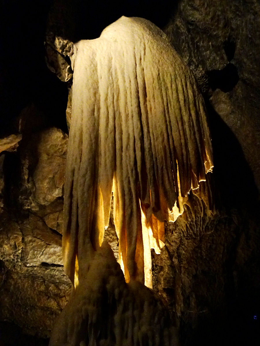 DSC05954.JPG