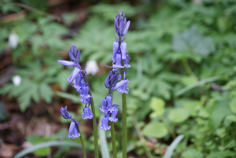 DSC05843.jpg