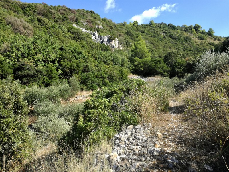 IMG_20180906_152401 — kopia.jpg