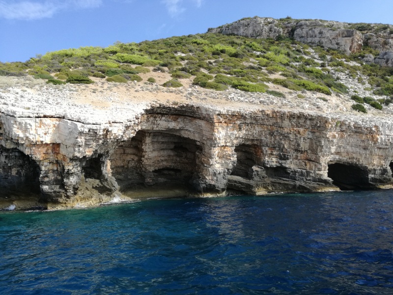 IMG_20180907_100057 (1).jpg