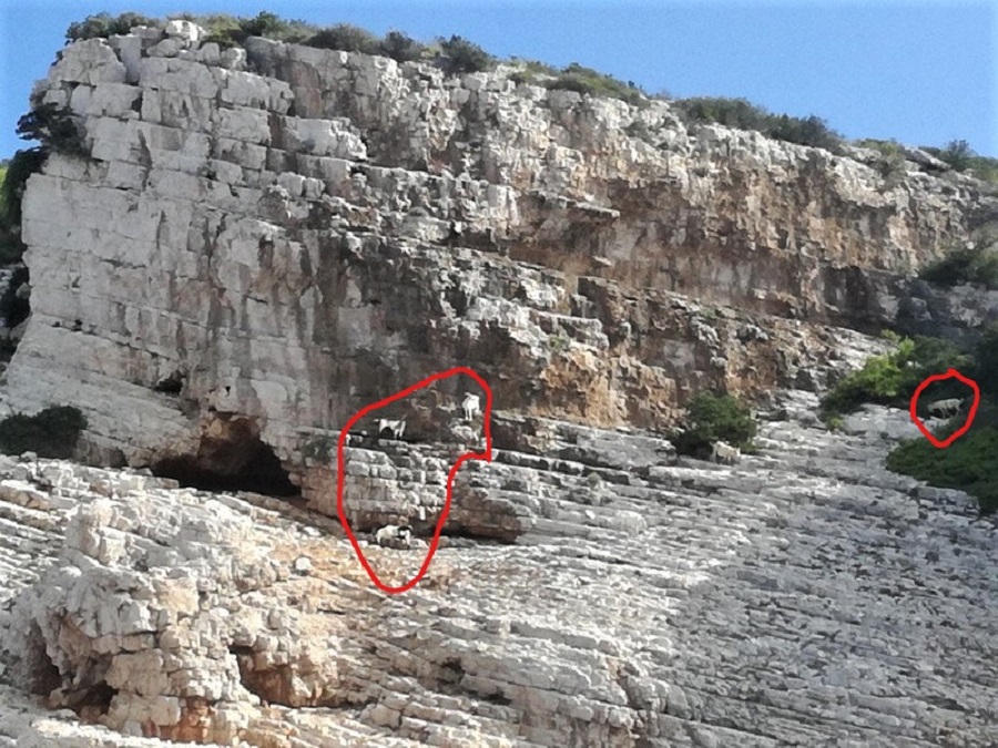 IMG_20180907_095900 (1)_LI.jpg