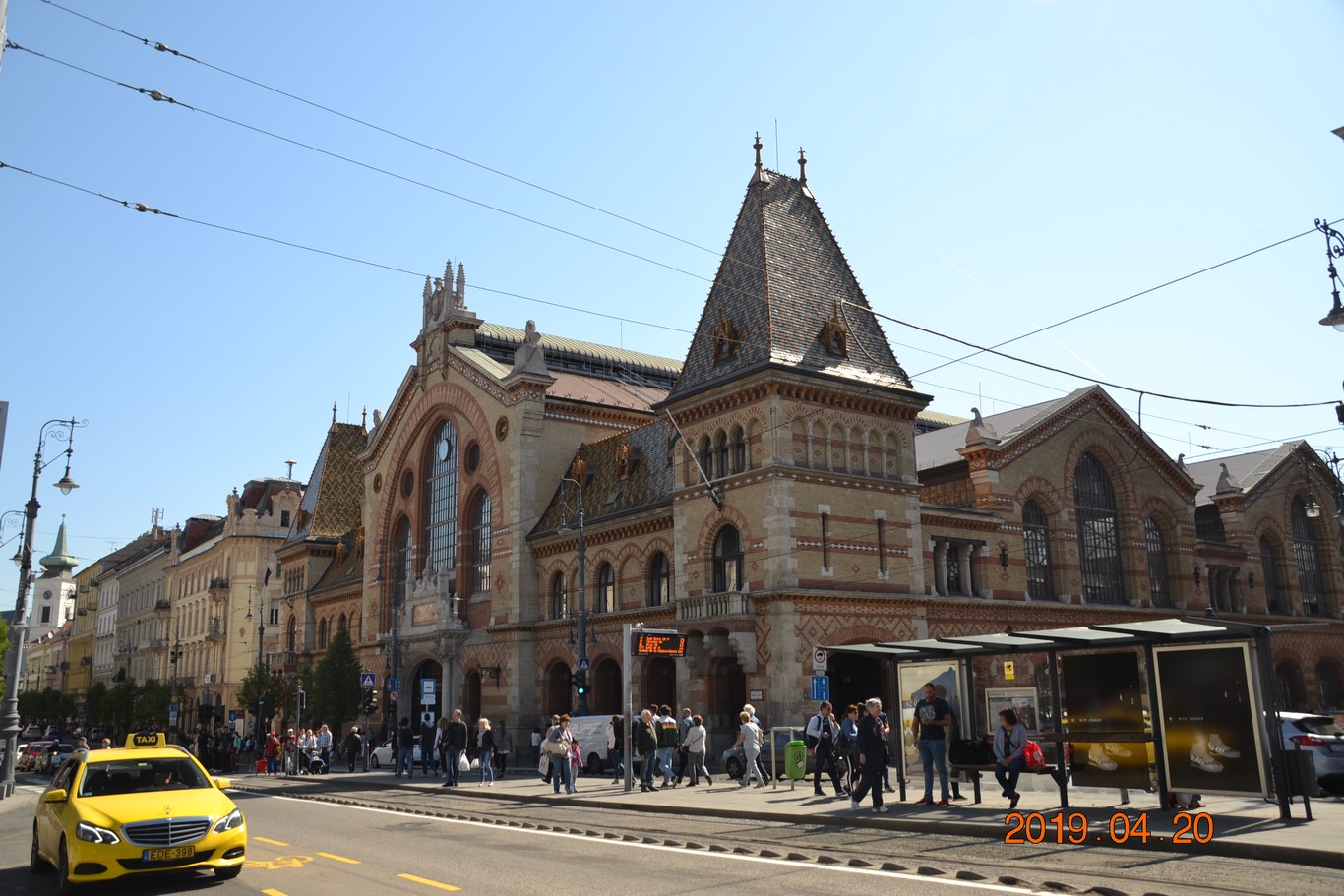 DSC_0269 (Kopiowanie).JPG