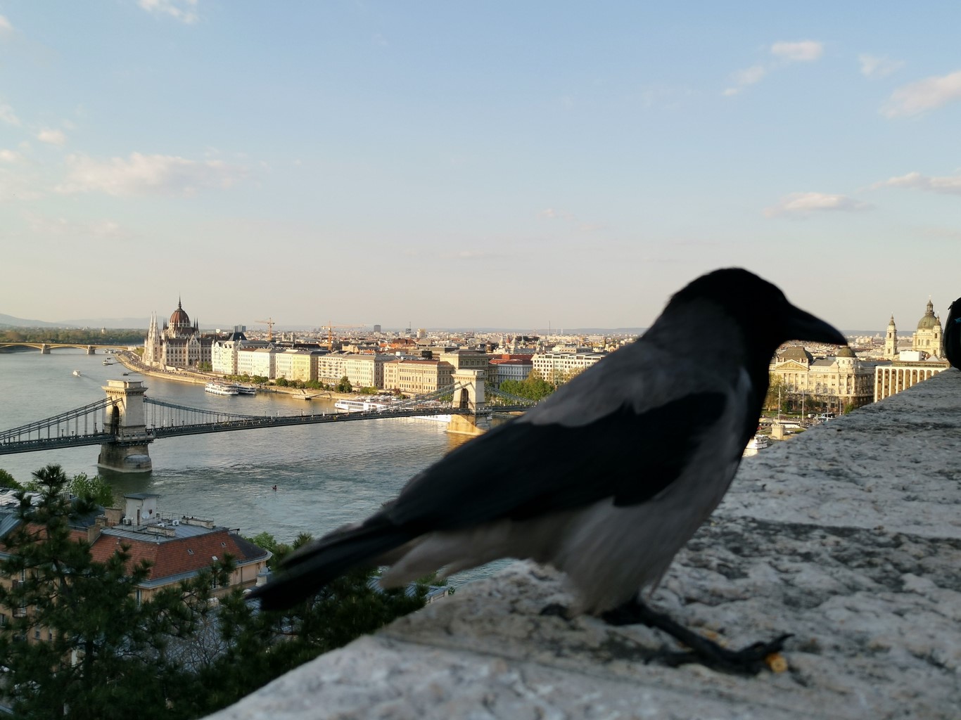 IMG_20190419_183154 (Kopiowanie).jpg