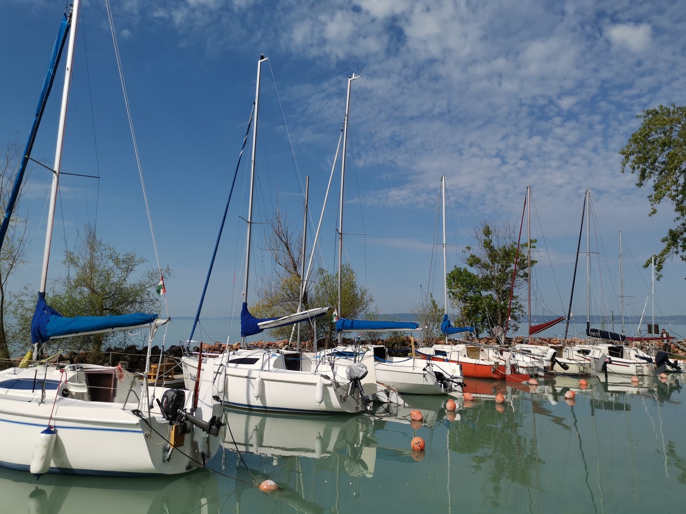 IMG_20190422_100603 (Kopiowanie).jpg