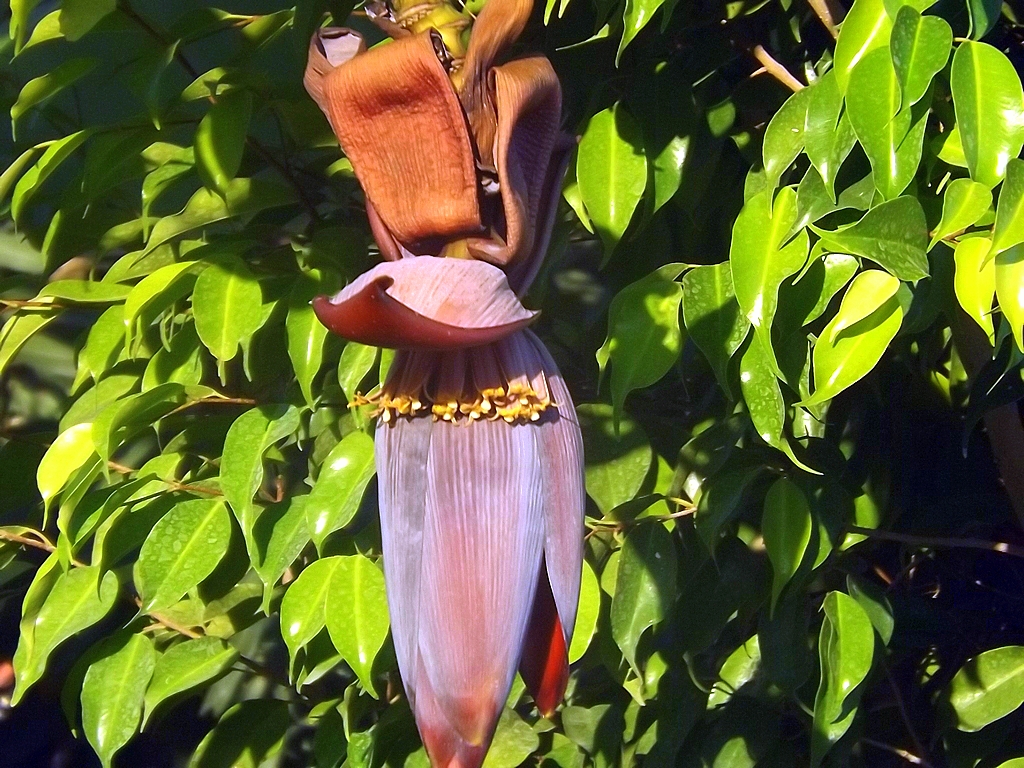 DSCF1561.JPG