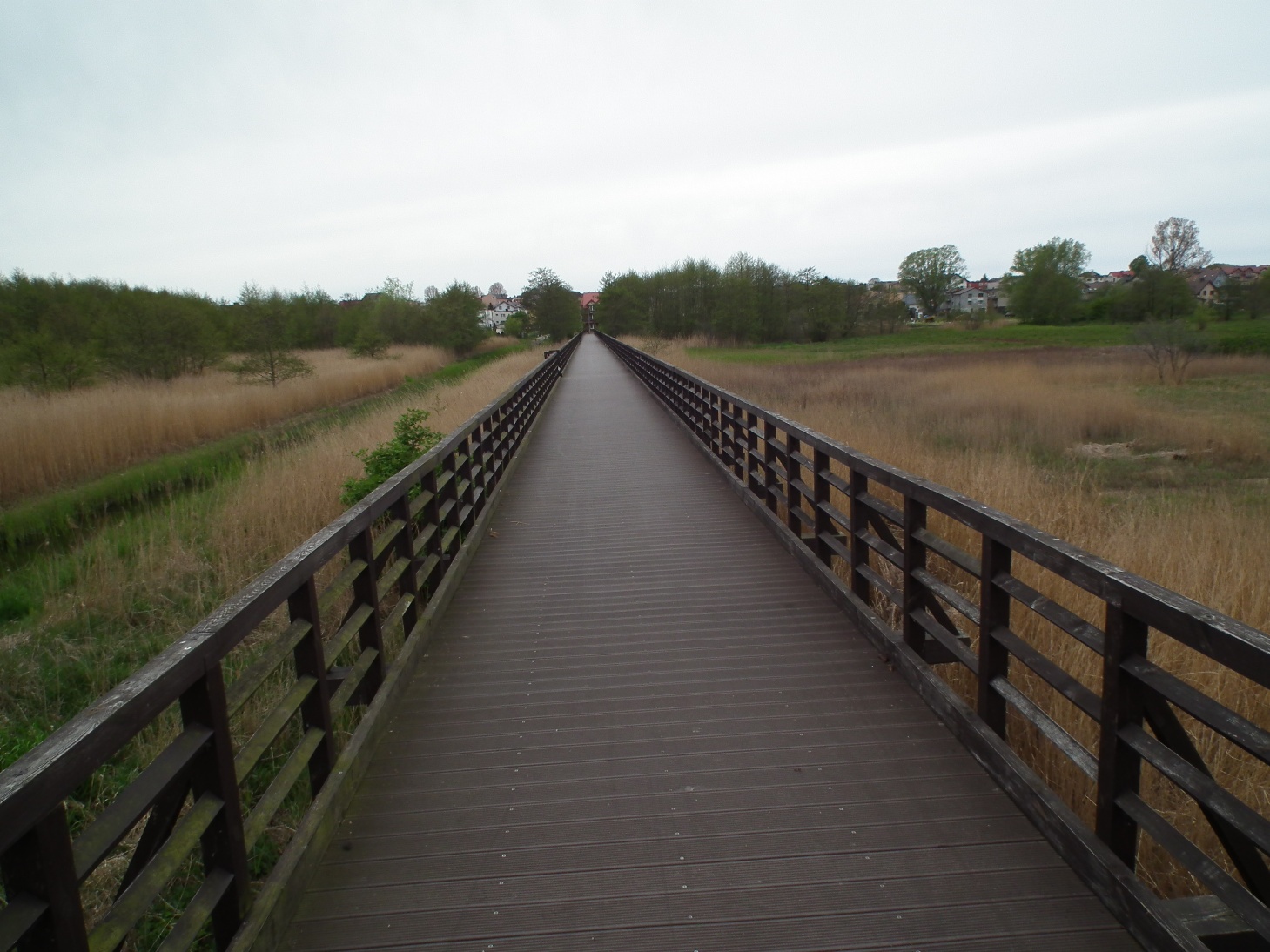 DSCF4263.JPG
