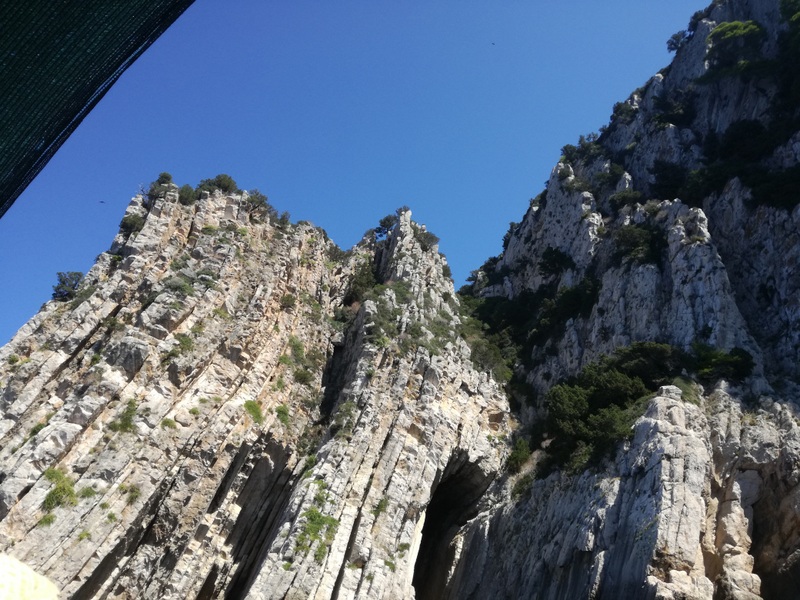 IMG_20180909_131217 (1).jpg