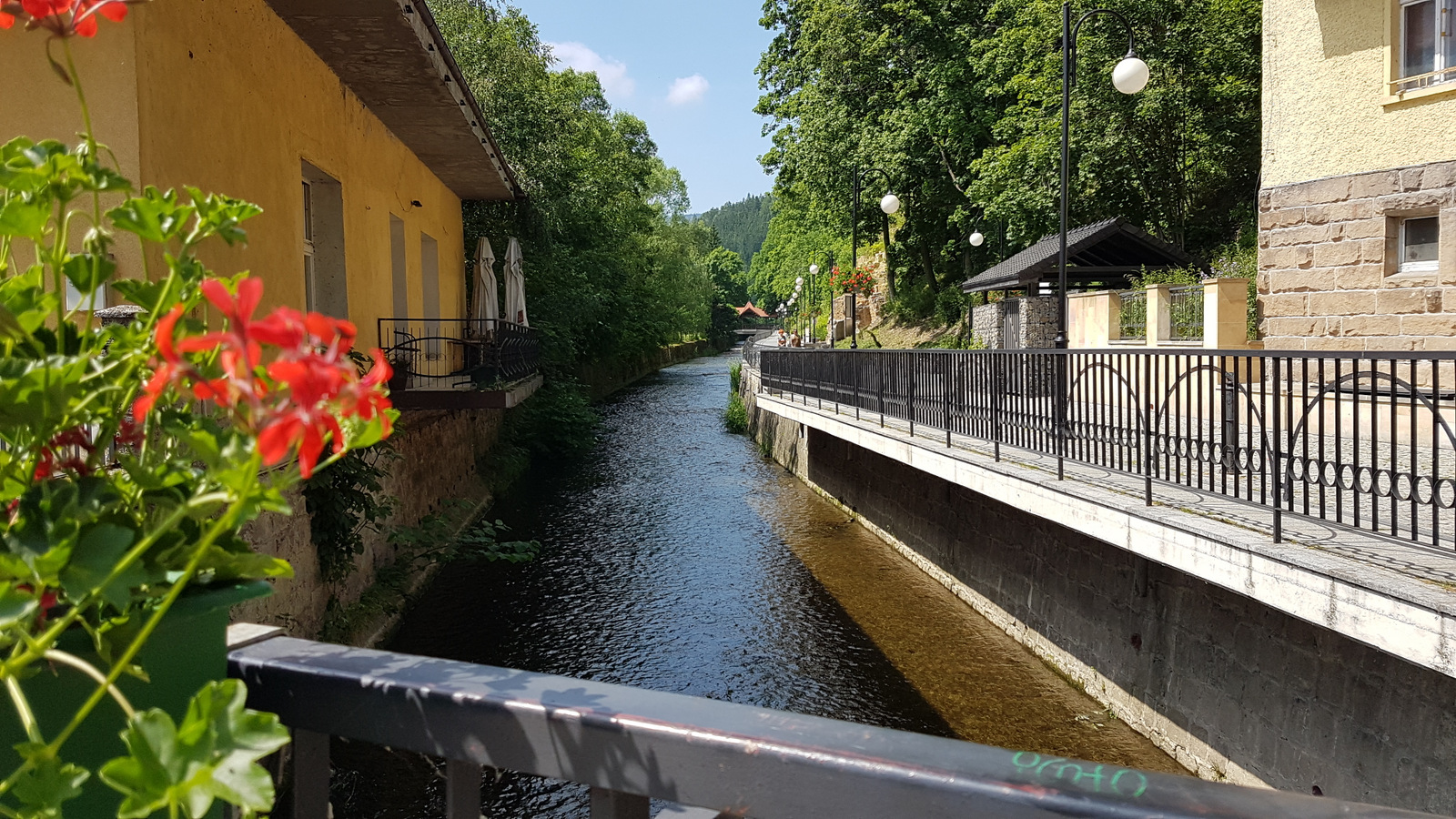 20190614_110445.jpg