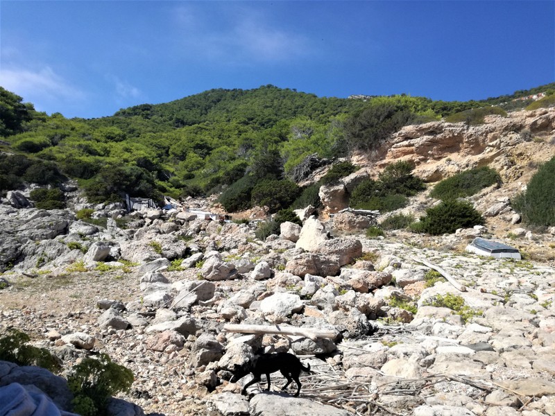 IMG_20180909_140916 (1).jpg