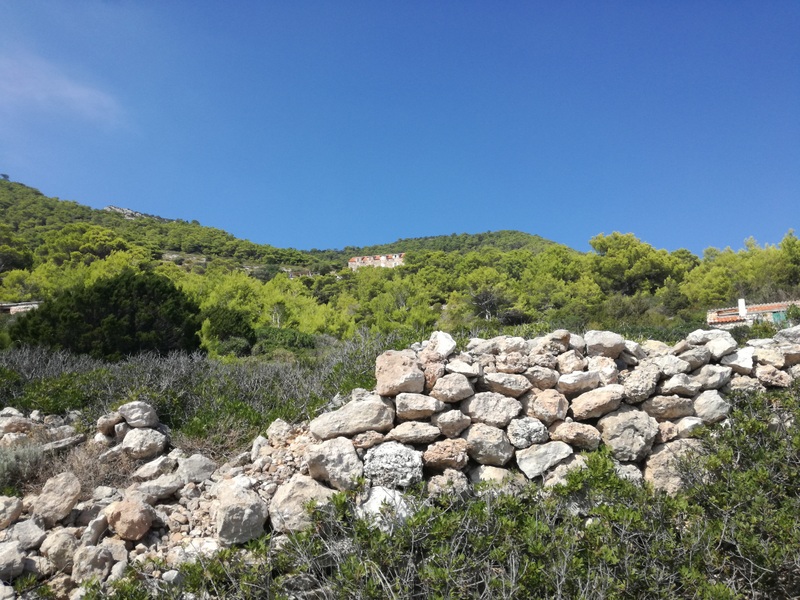 IMG_20180909_141614 (1).jpg