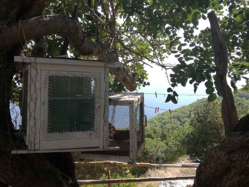 IMG_20180909_145728_2 (1).jpg