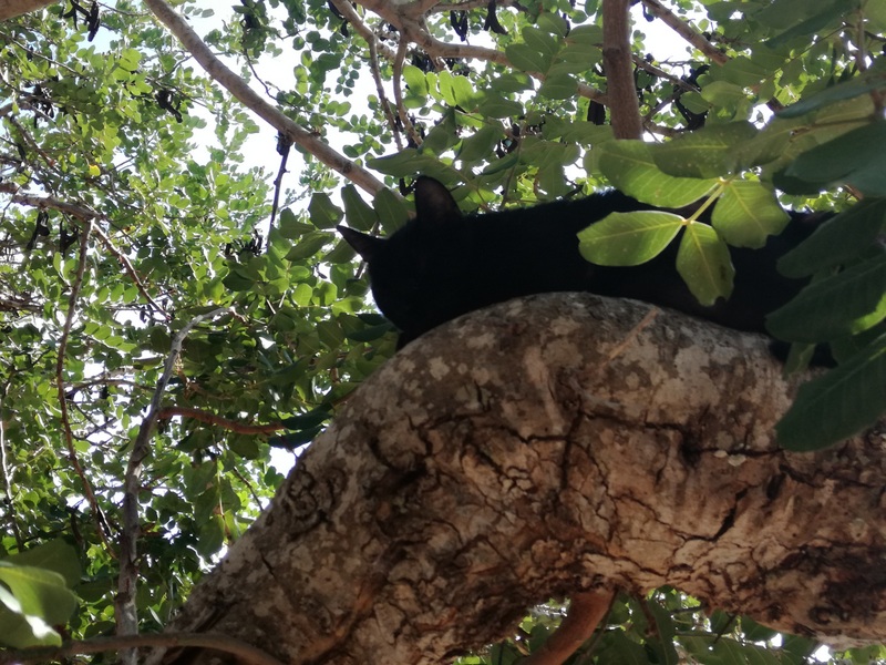 IMG_20180909_145901 (1).jpg