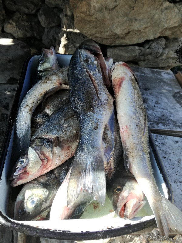 IMG_20180909_152635 (1).jpg