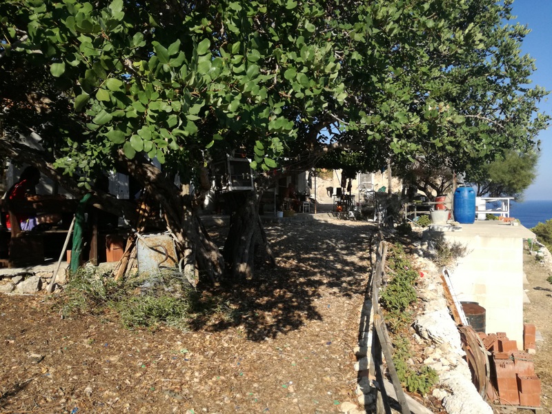 IMG_20180909_163945 (1).jpg