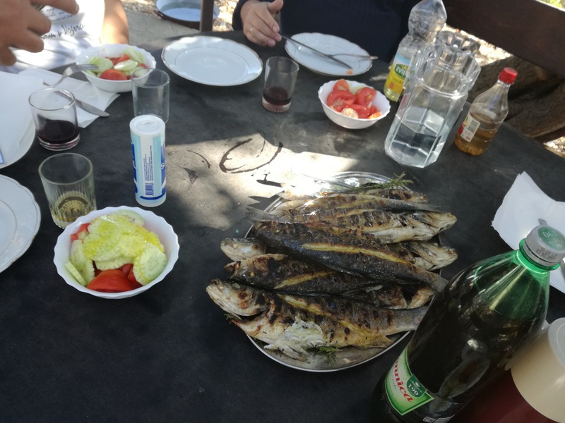 IMG_20180909_154126 (1).jpg