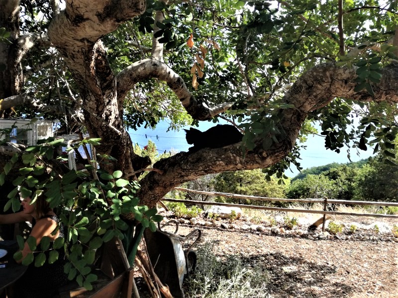 IMG_20180909_152646 (1).jpg