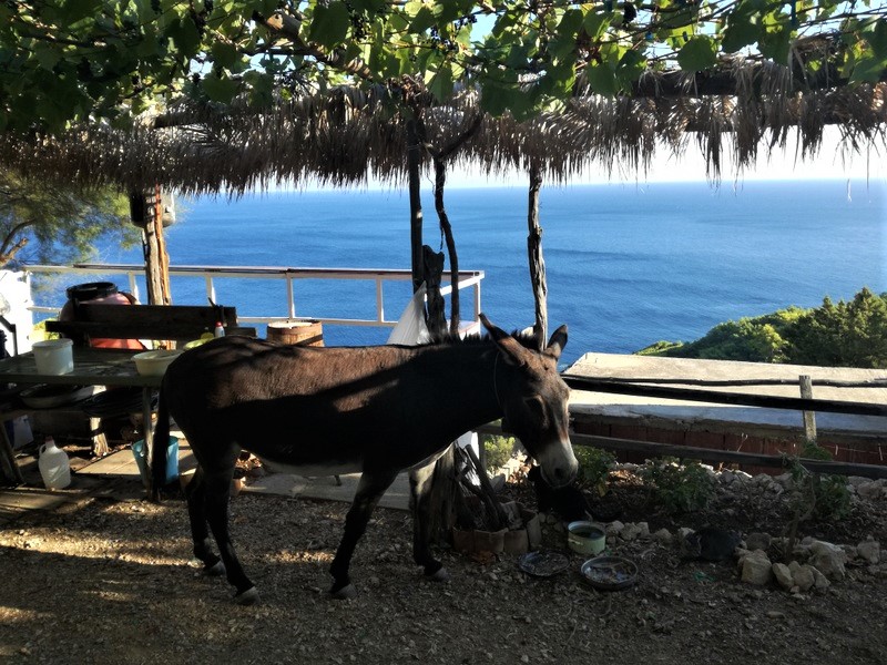 IMG_20180909_172152 (1).jpg