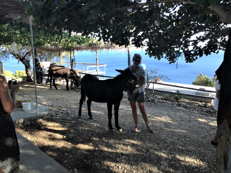 IMG_20180909_172333 (1).jpg