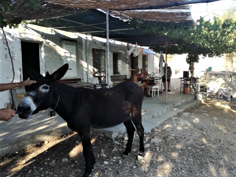 IMG_20180909_172248 (1).jpg