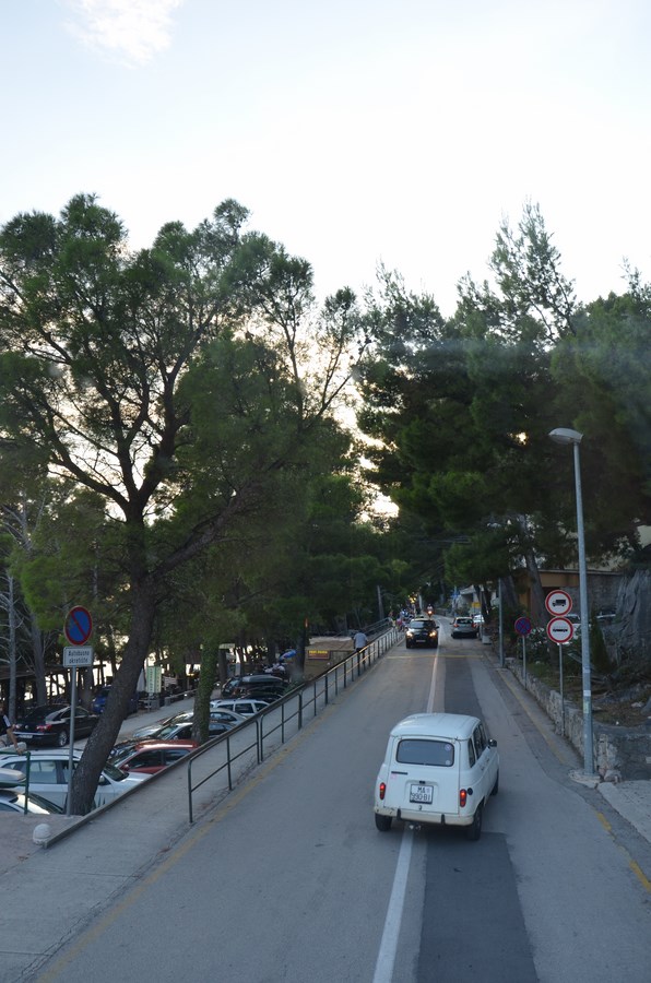 DSC_0146 (3) (Kopiowanie).JPG