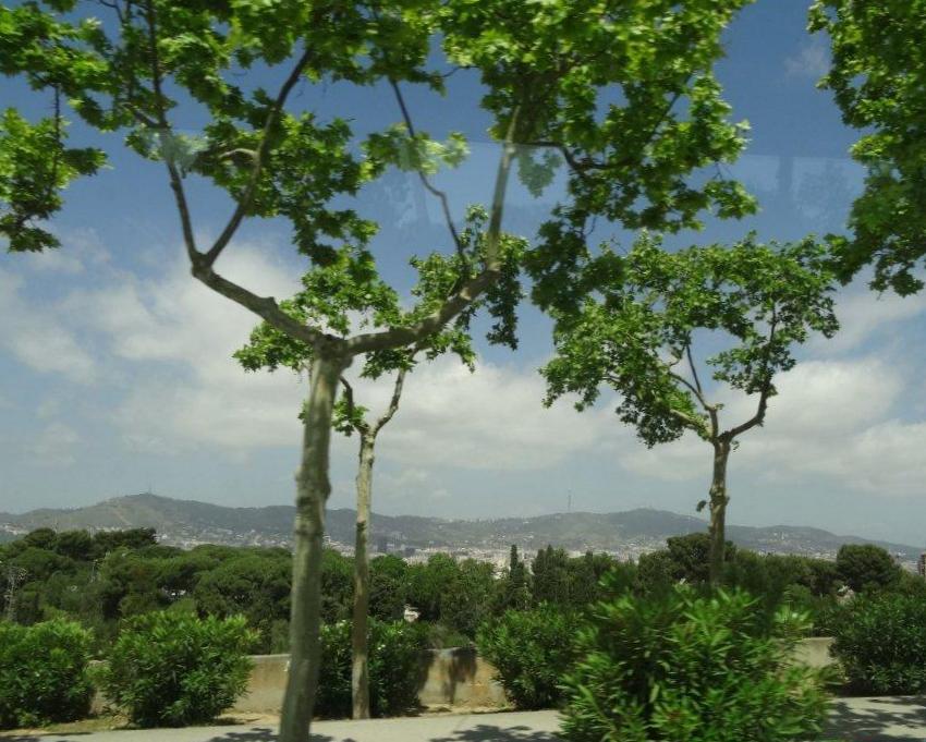 Podbój Iberii cz. II 493a.jpg