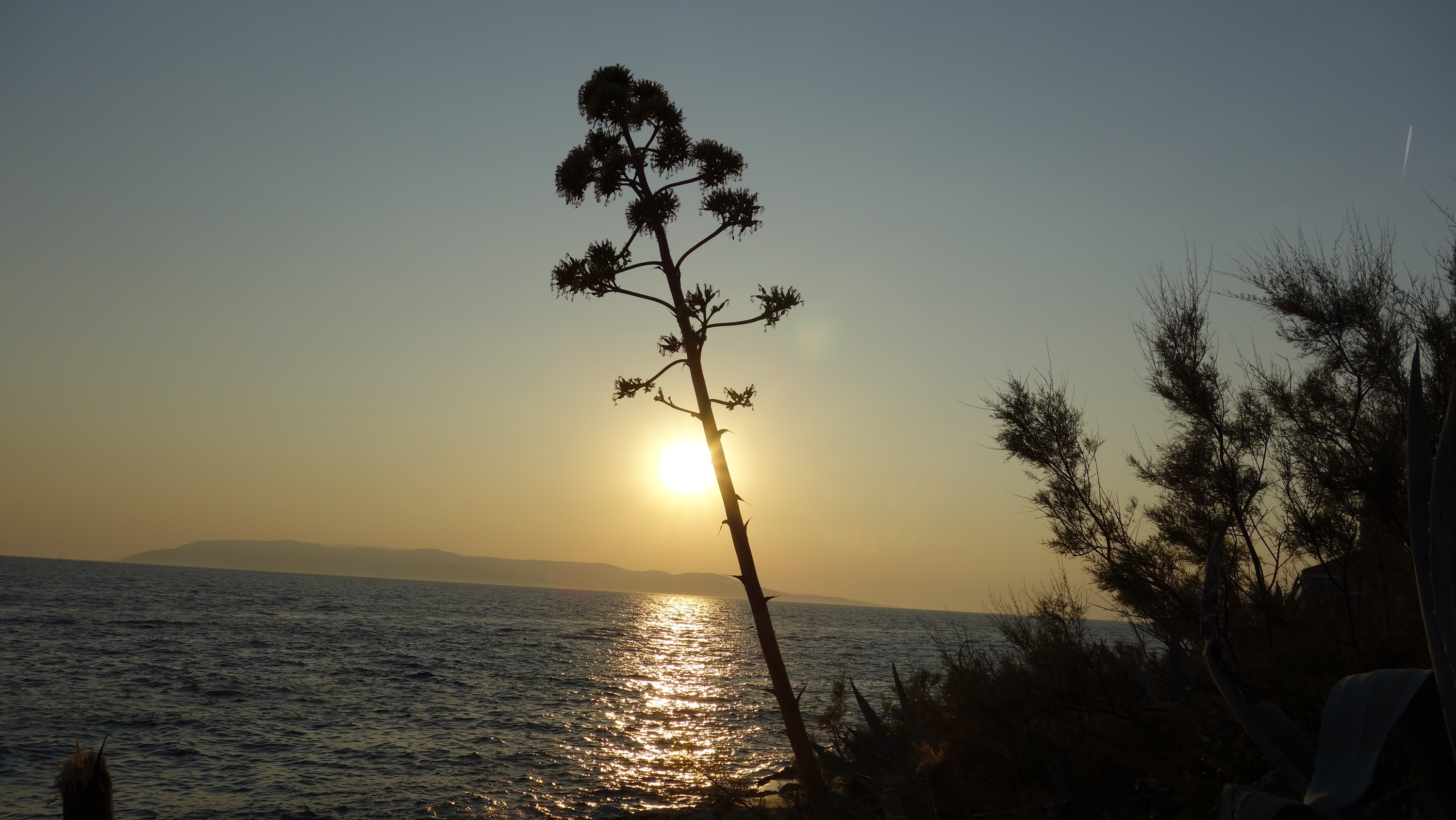 DSC03204A (Copy).JPG