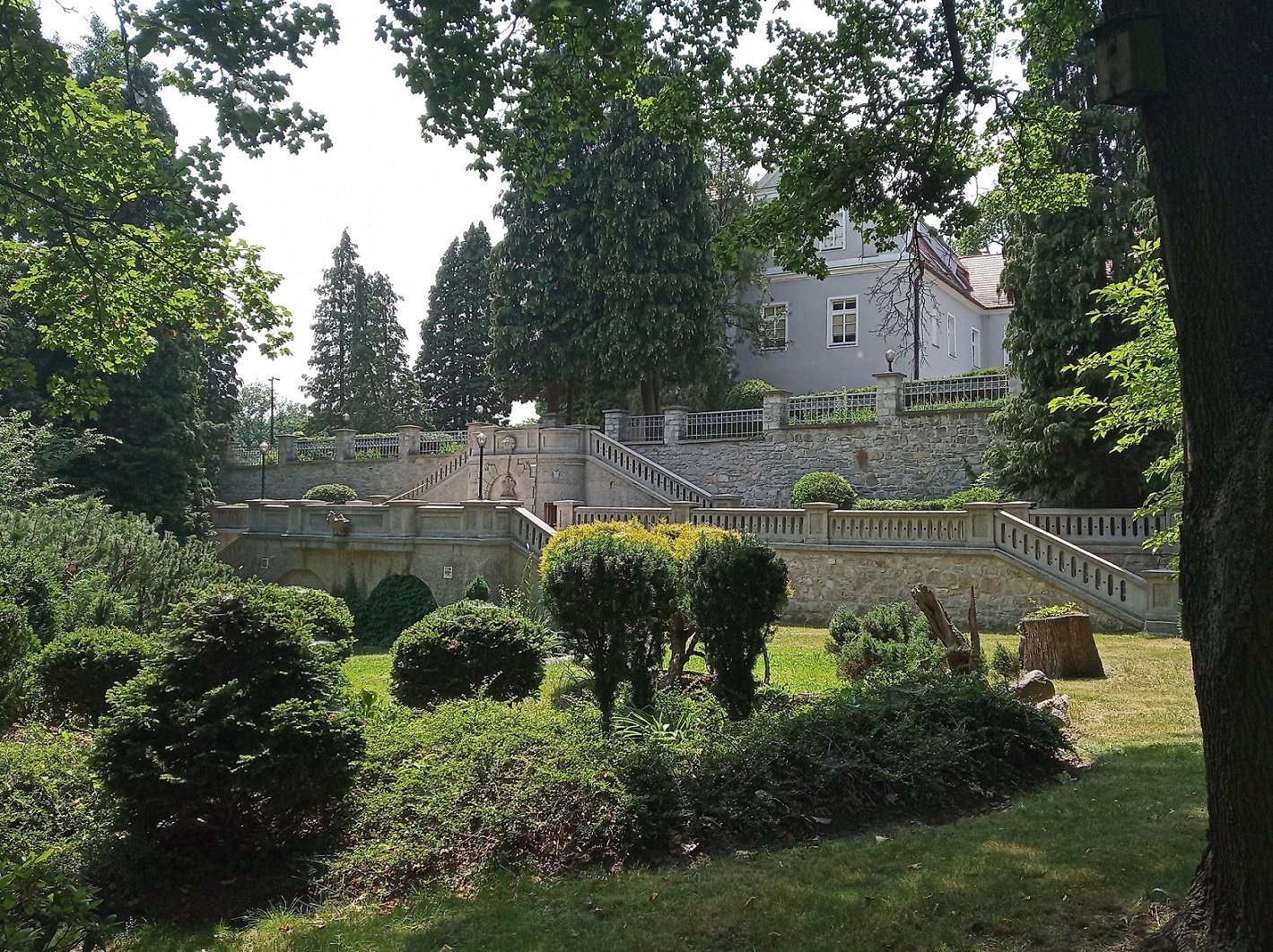 IMG_20190620_134951 (1).jpg