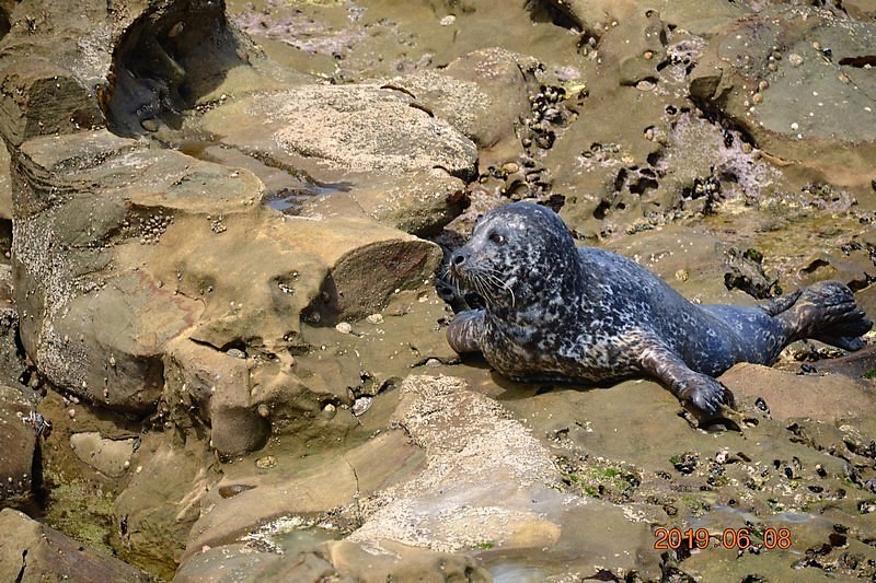 DSC_0232 (Kopiowanie) (Kopiowanie).JPG