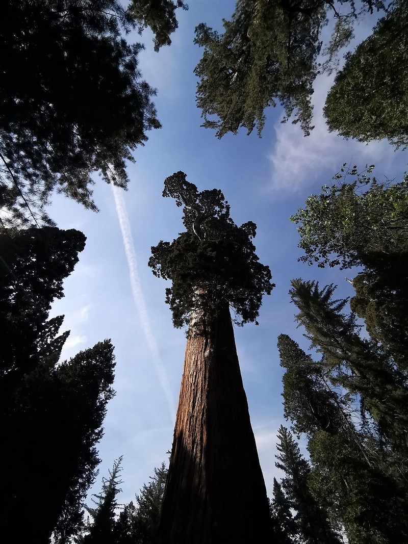 DSC_0874 (Kopiowanie).jpg