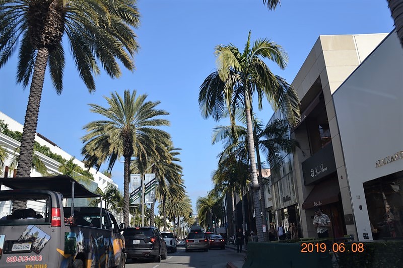 DSC_0066 (Kopiowanie).JPG