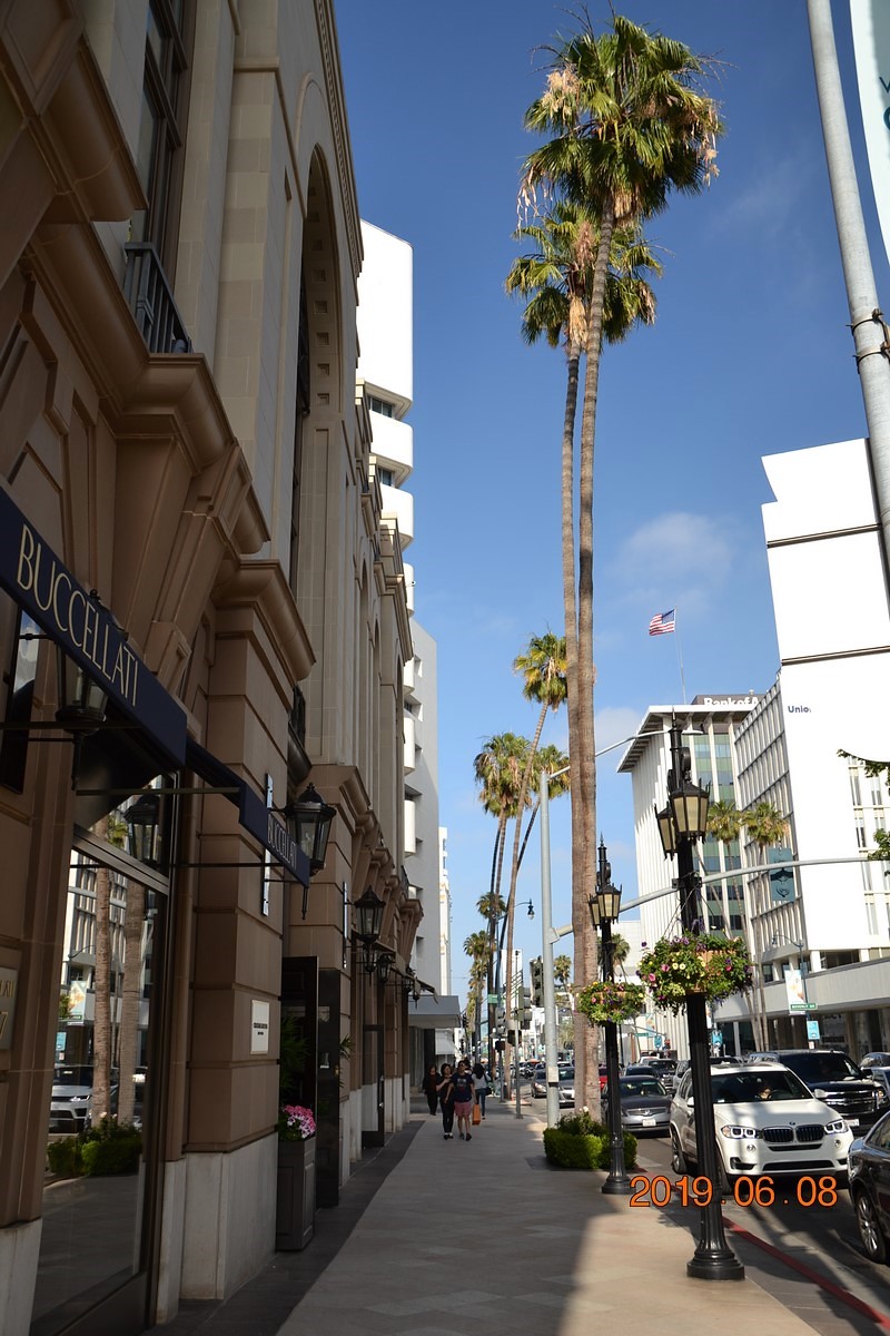 DSC_0088 (Kopiowanie).JPG