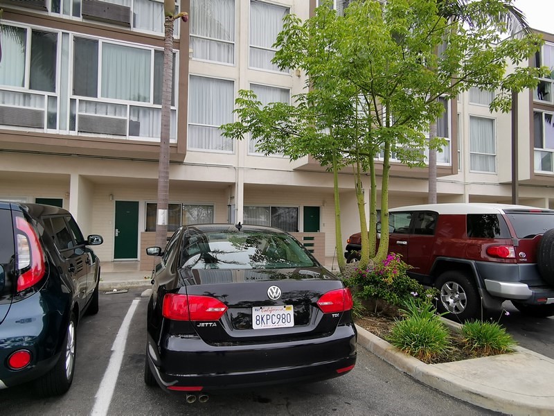 DSC_0161e (Kopiowanie).jpg