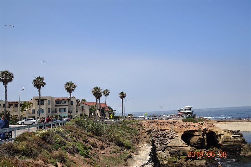 DSC_0219 (Kopiowanie).JPG