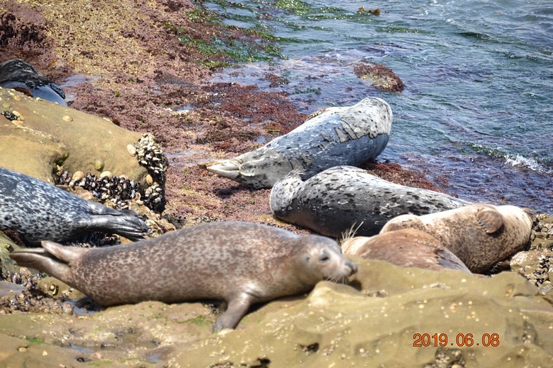 DSC_0234 (Kopiowanie).JPG