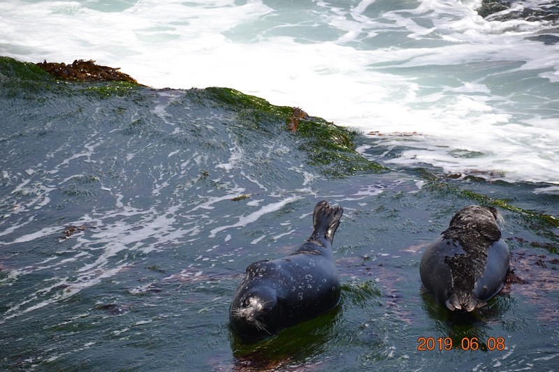 DSC_0236 (Kopiowanie).JPG