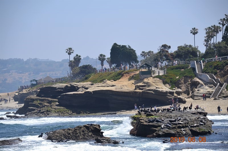 DSC_0245 (Kopiowanie).JPG