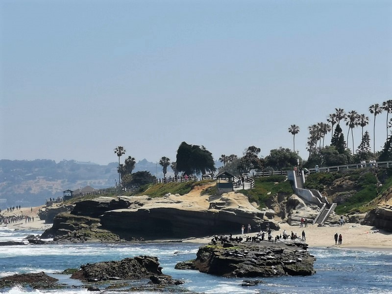 DSC_0245a (Kopiowanie).jpg