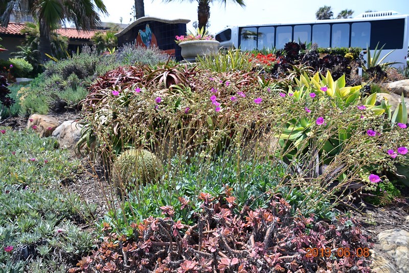 DSC_0278 (Kopiowanie).JPG