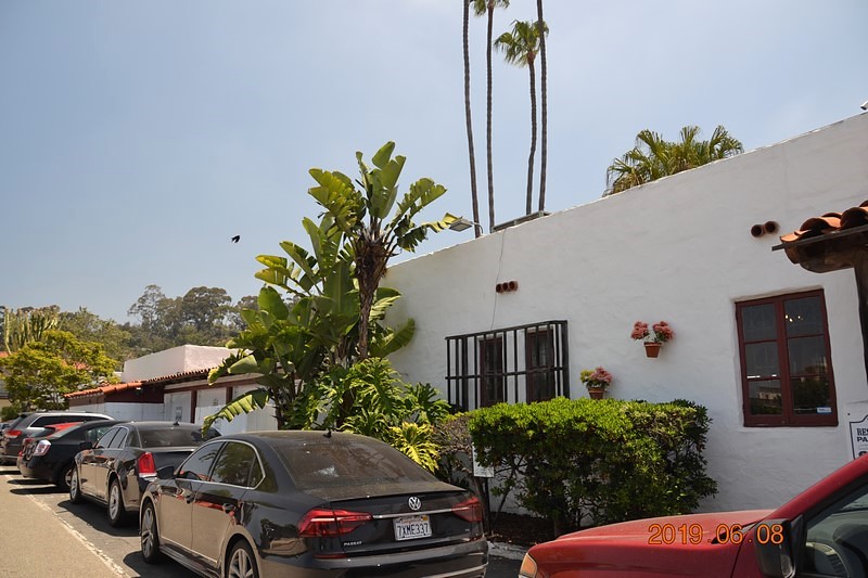 DSC_0295 (Kopiowanie).JPG