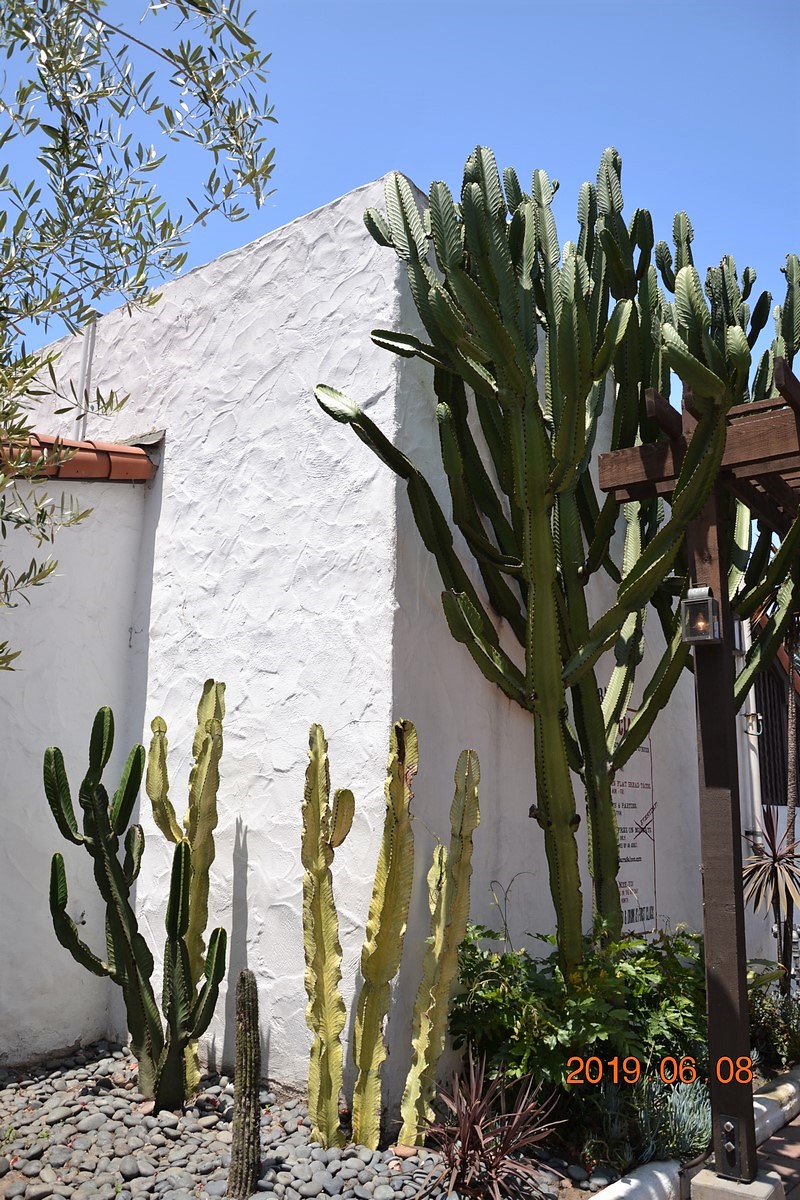 DSC_0297 (Kopiowanie).JPG