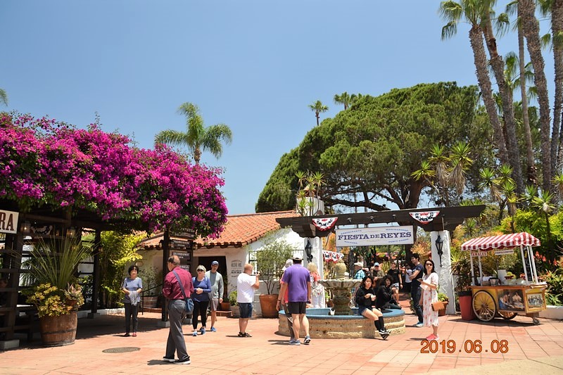 DSC_0299 (Kopiowanie).JPG