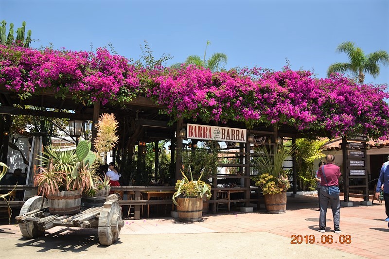 DSC_0300 (Kopiowanie).JPG