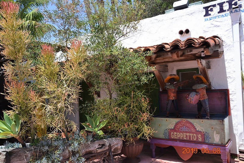 DSC_0310 (Kopiowanie).JPG