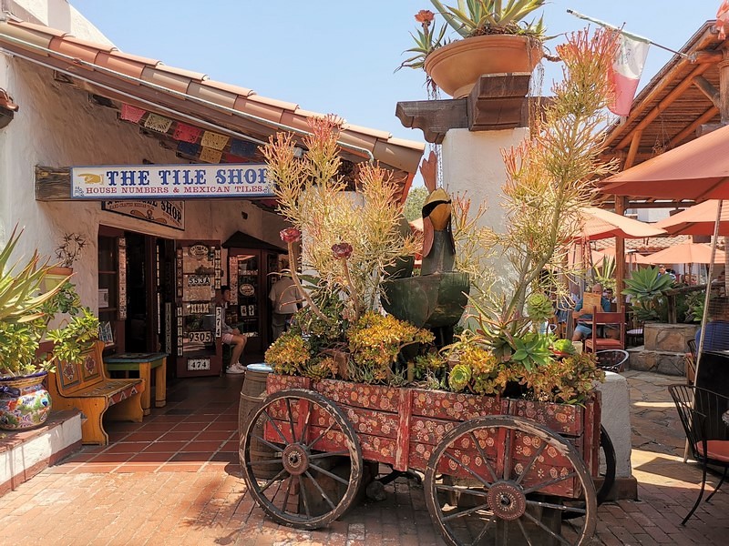 DSC_0313b (Kopiowanie).jpg