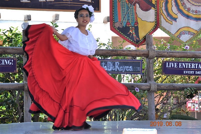 DSC_0313e (Kopiowanie).JPG