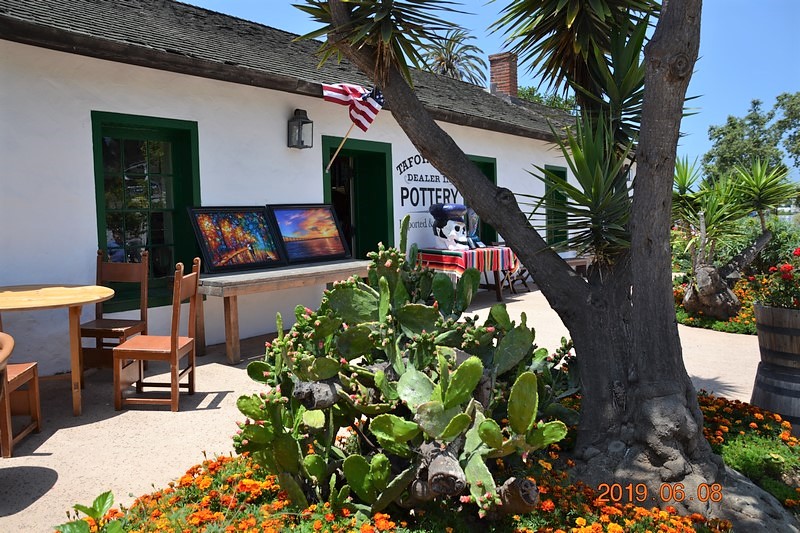 DSC_0320 (Kopiowanie).JPG