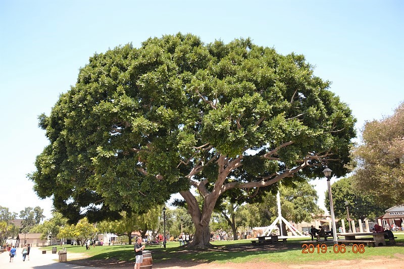 DSC_0330 (Kopiowanie).JPG